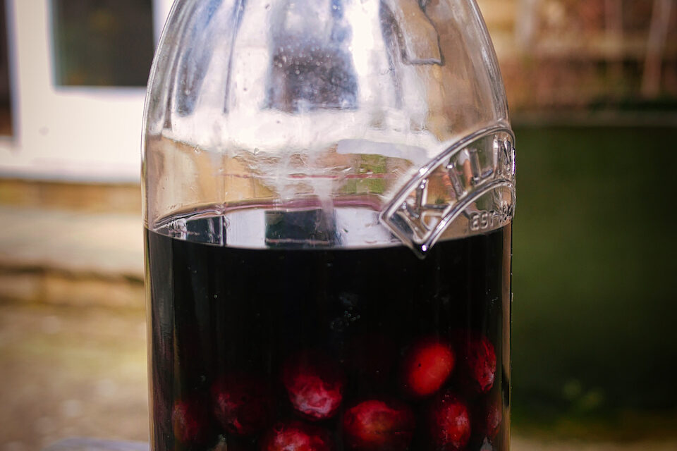 Jar of damsons soaking in red wine and brandy
