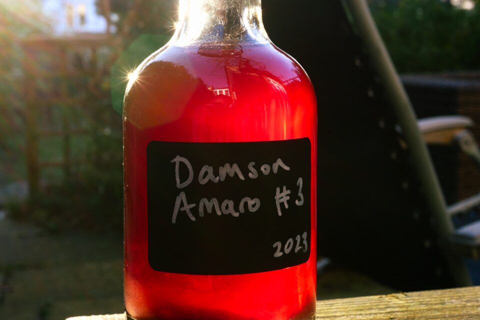 Bottle of damson amaro
