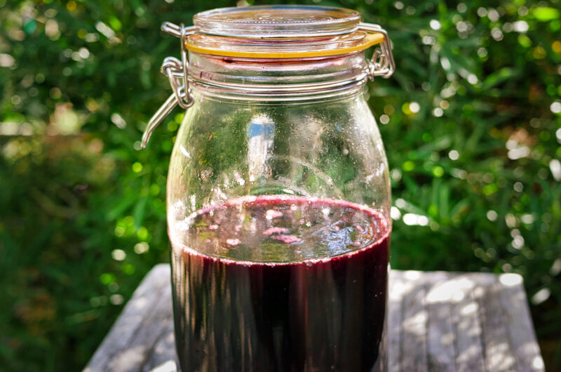 Home-made blackberry liqueur (Crème de Mûre)