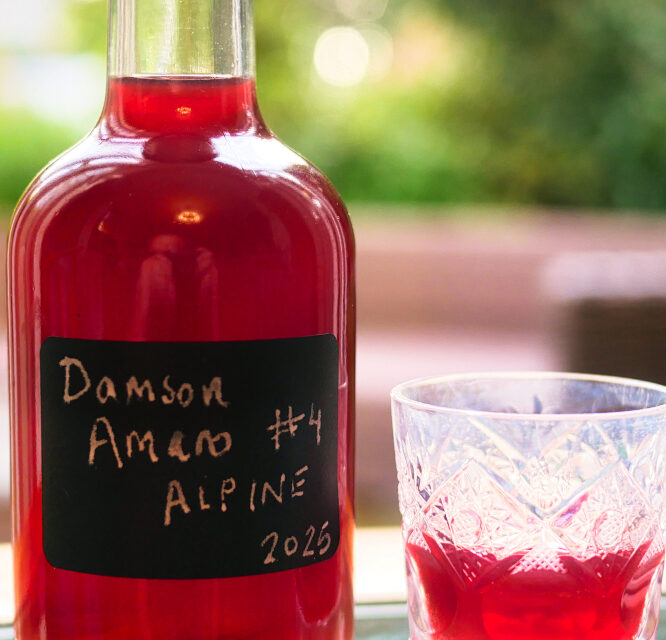Bottle and glass of alpine damson amaro